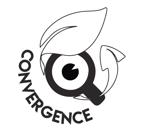 Convergence 2