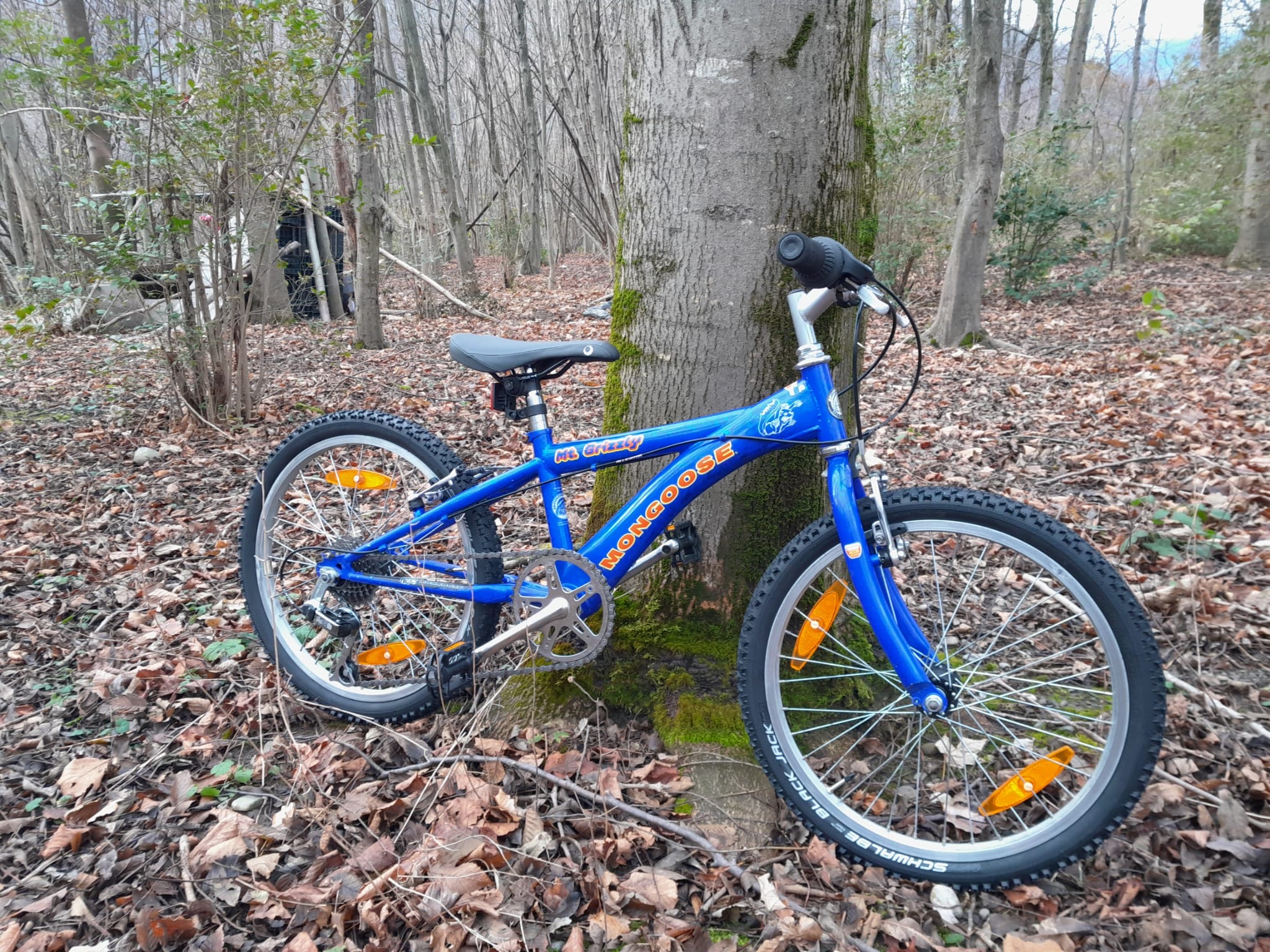 Vélo 20'' restauré